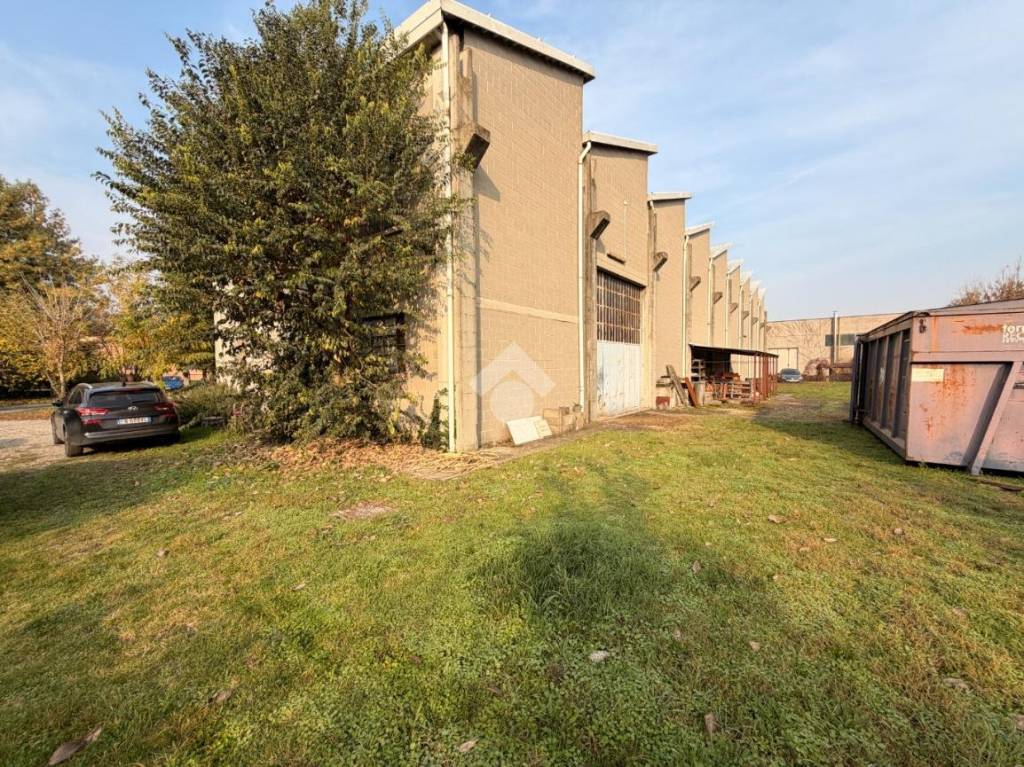 immagine annuncio 6 di 15