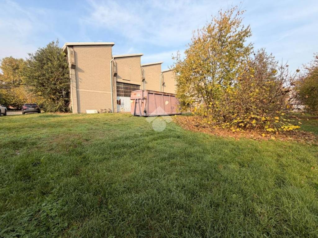 immagine annuncio 9 di 15