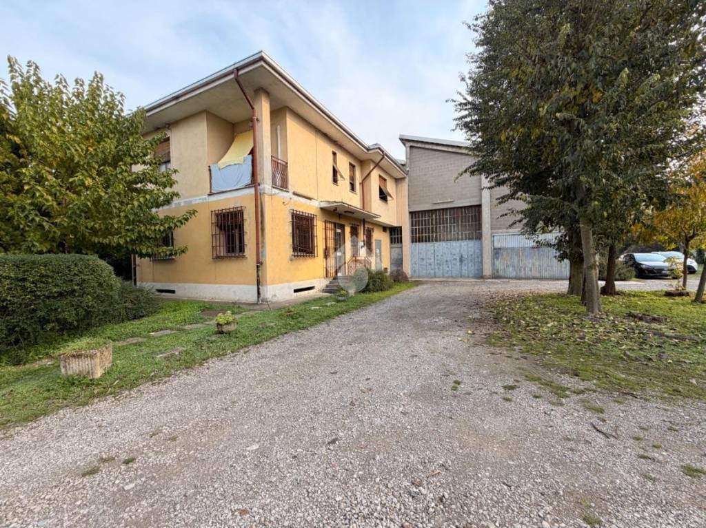 immagine annuncio 11 di 15