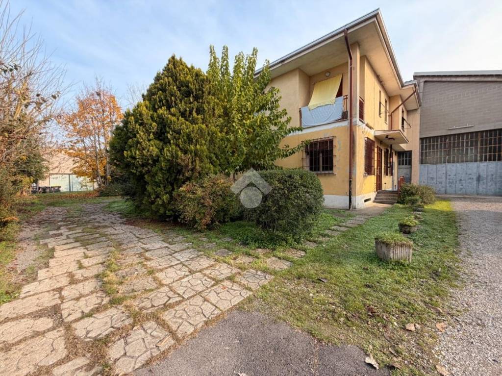 immagine annuncio 12 di 15