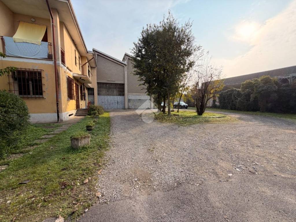 immagine annuncio 14 di 15