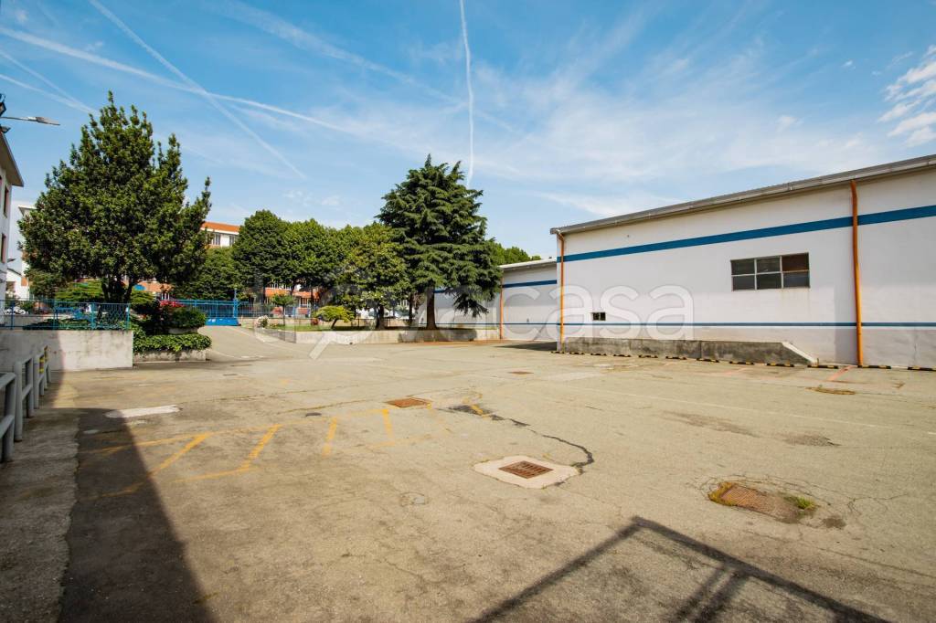 immagine annuncio 4 di 15