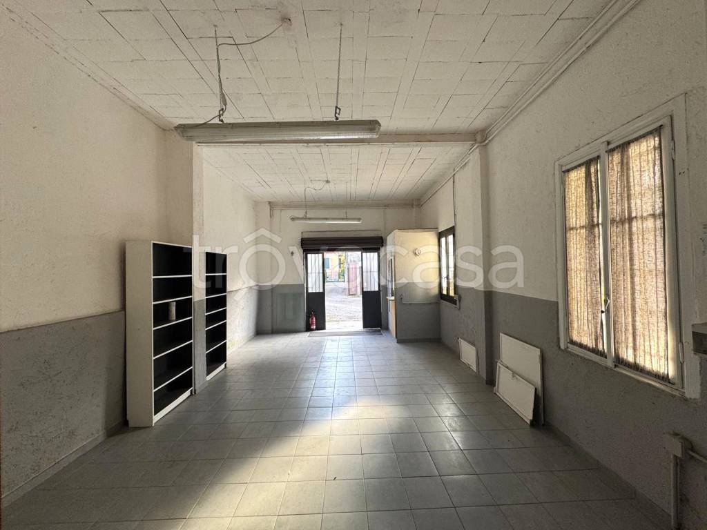 immagine annuncio 11 di 14