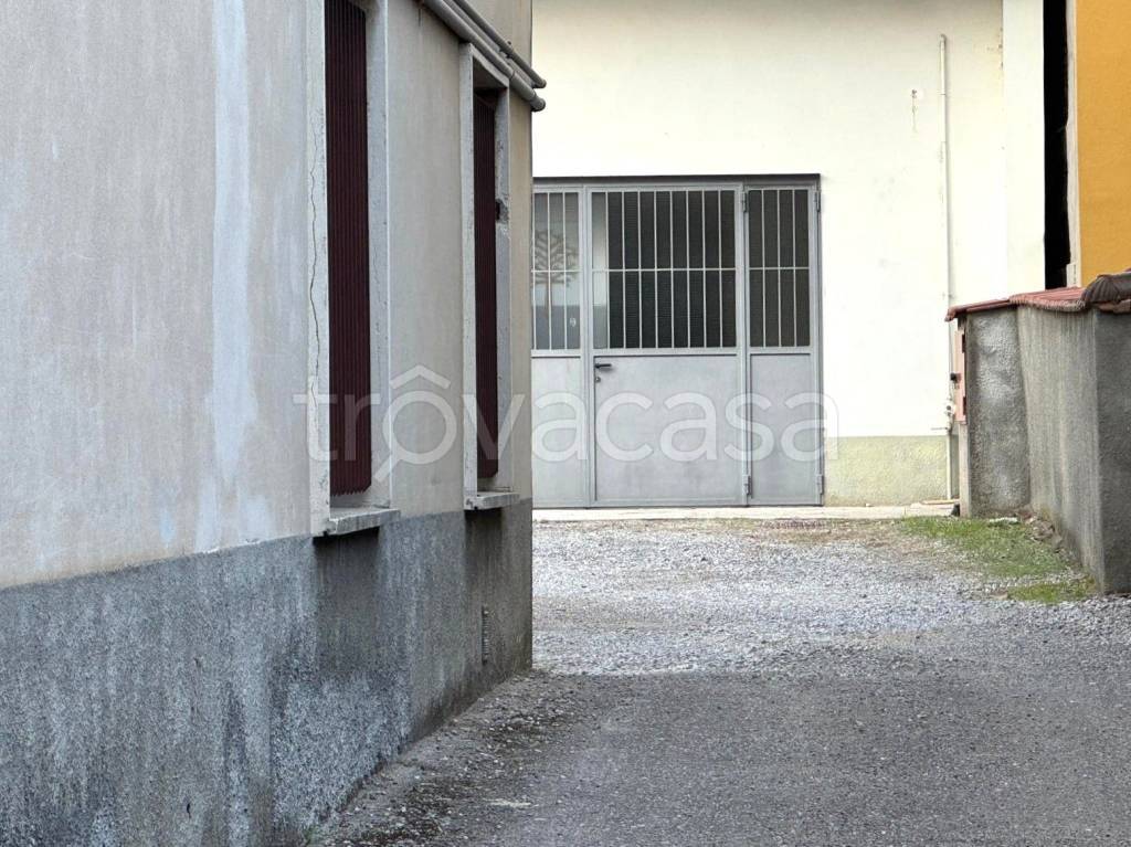 immagine annuncio 12 di 14