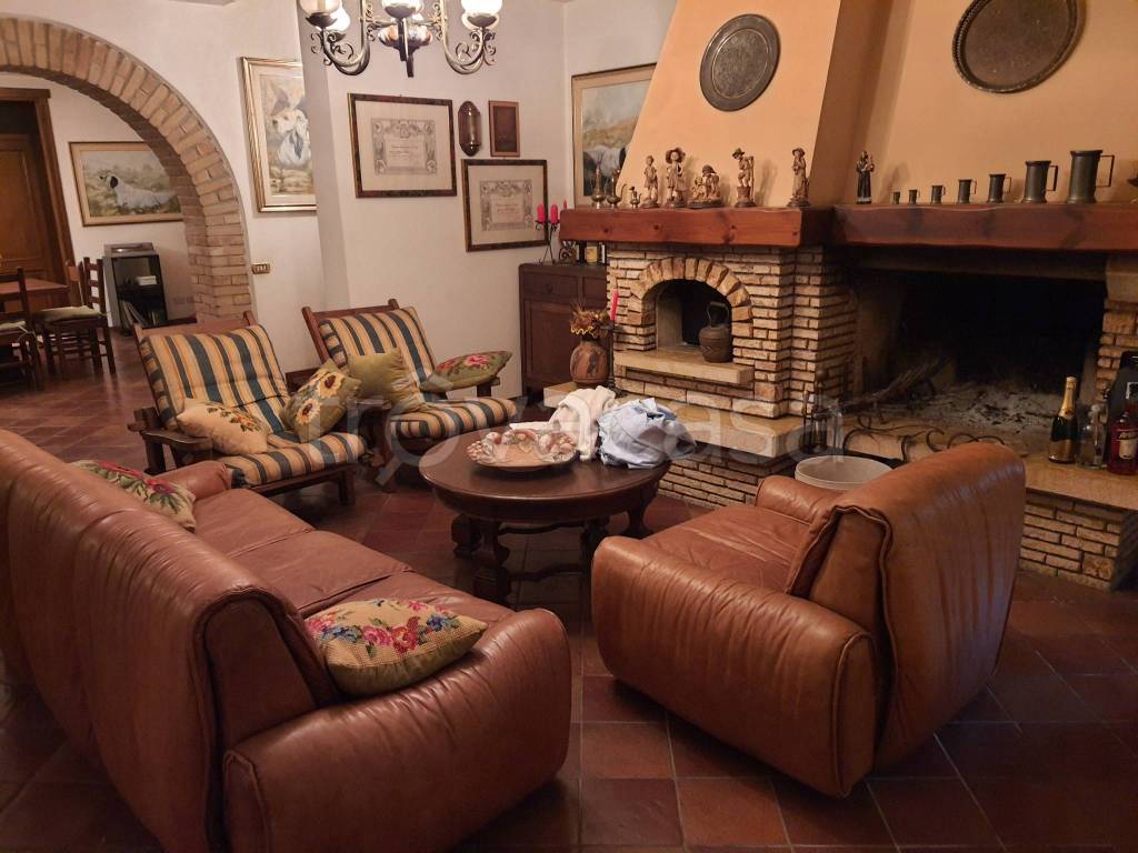 immagine annuncio 7 di 14