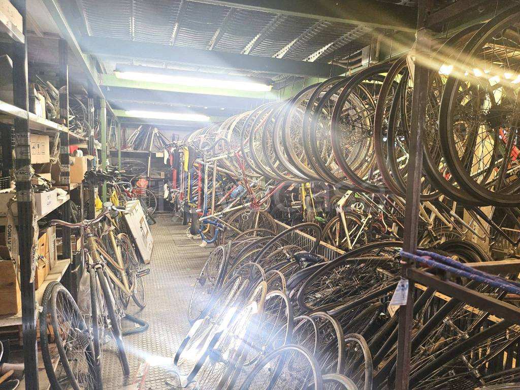 immagine annuncio 12 di 15