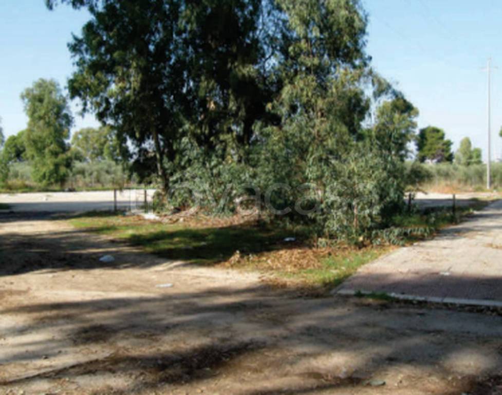 immagine annuncio 3 di 9