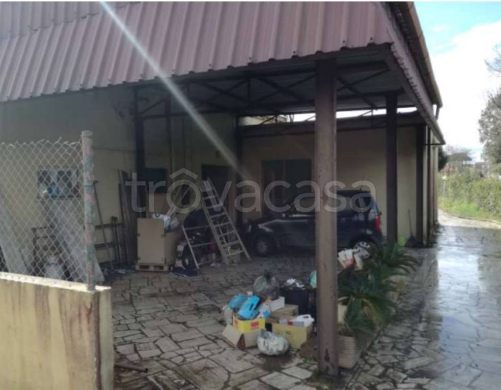 immagine annuncio 10 di 11