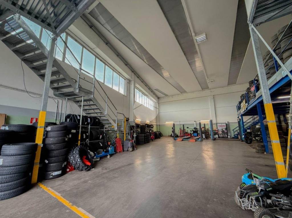 immagine annuncio 1 di 15