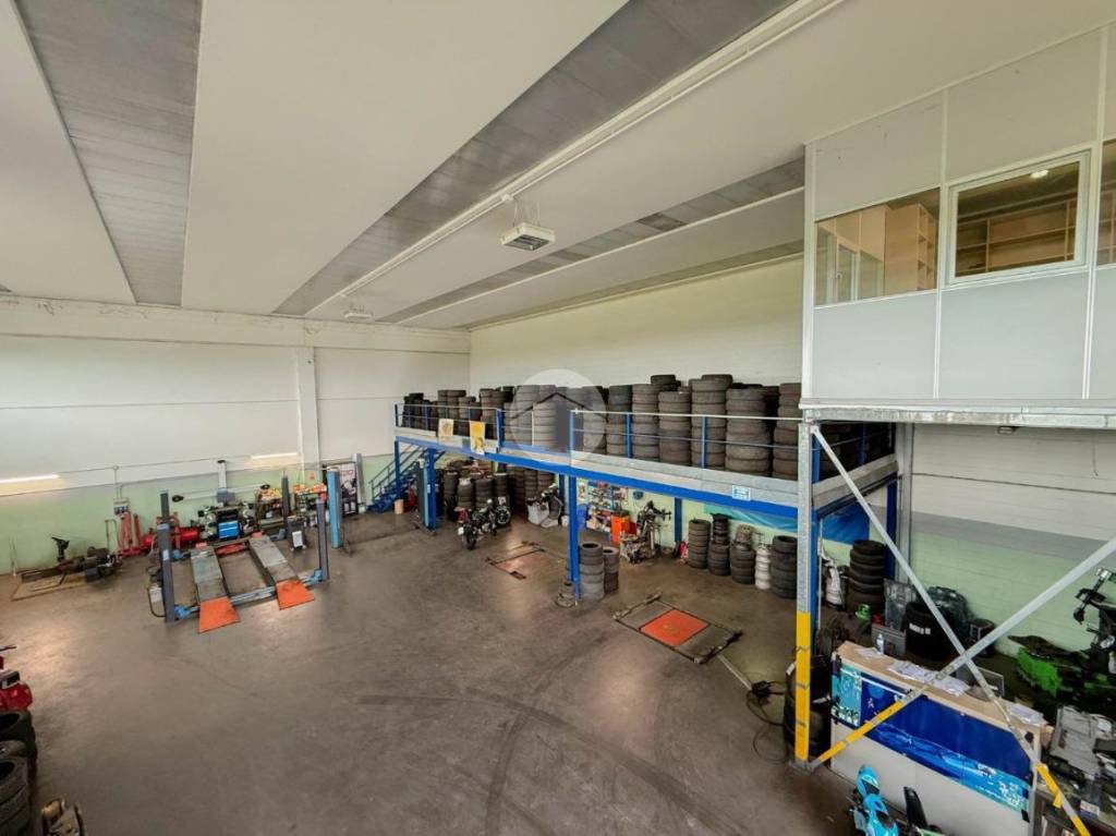 immagine annuncio 5 di 15