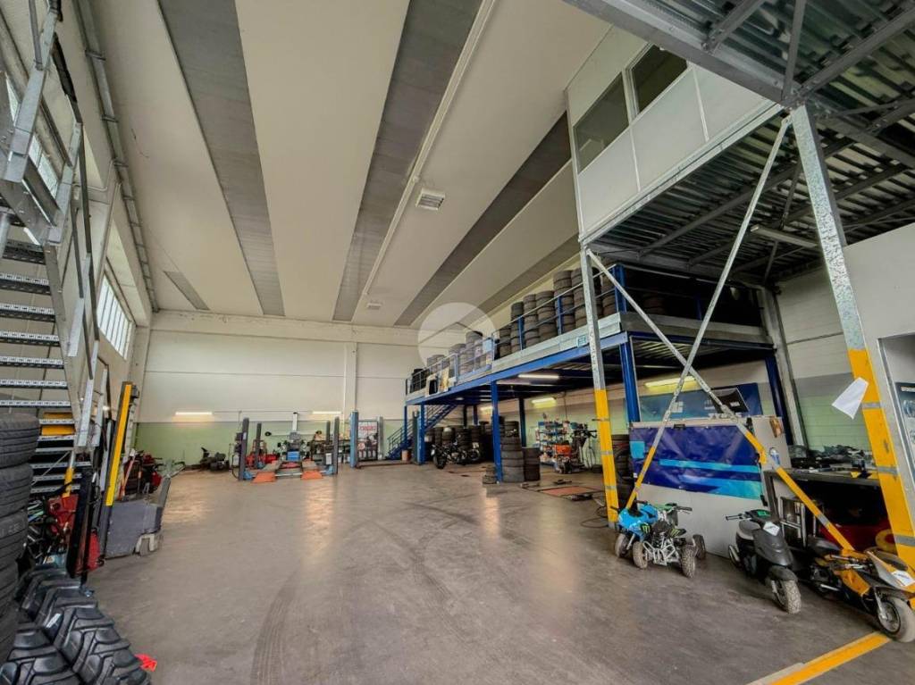 immagine annuncio 6 di 15