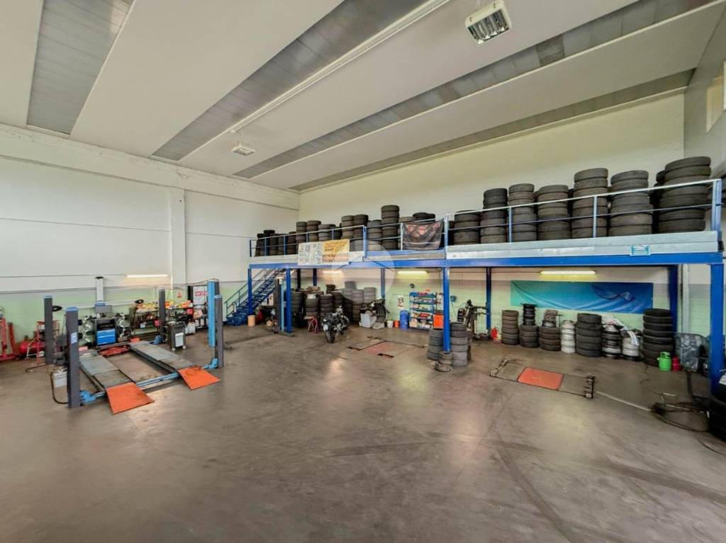 immagine annuncio 10 di 15