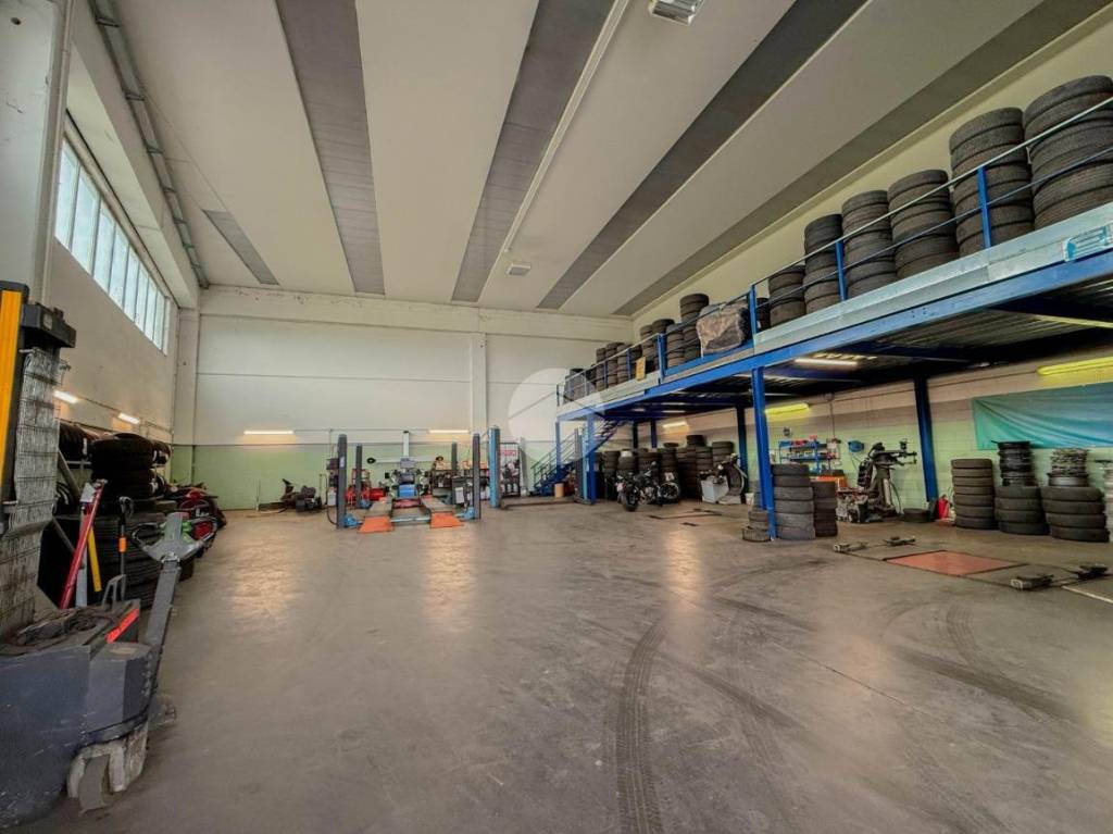 immagine annuncio 11 di 15