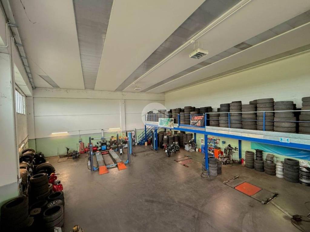 immagine annuncio 12 di 15