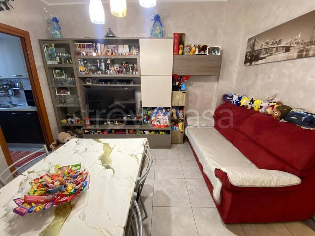 immagine annuncio 9 di 15