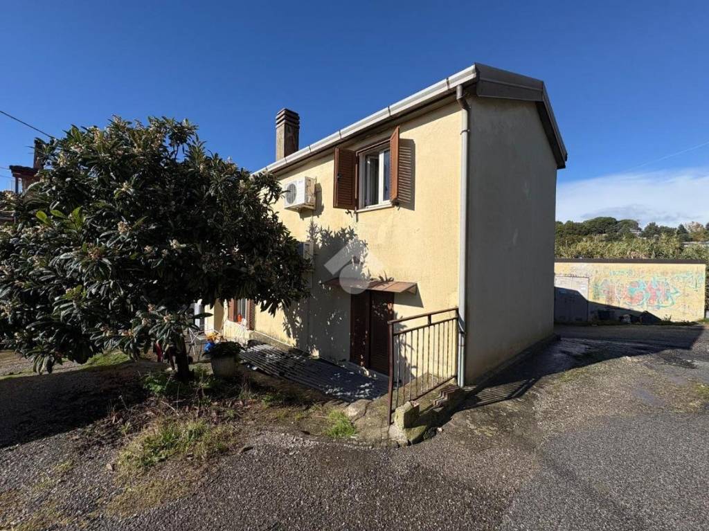 immagine annuncio 9 di 11