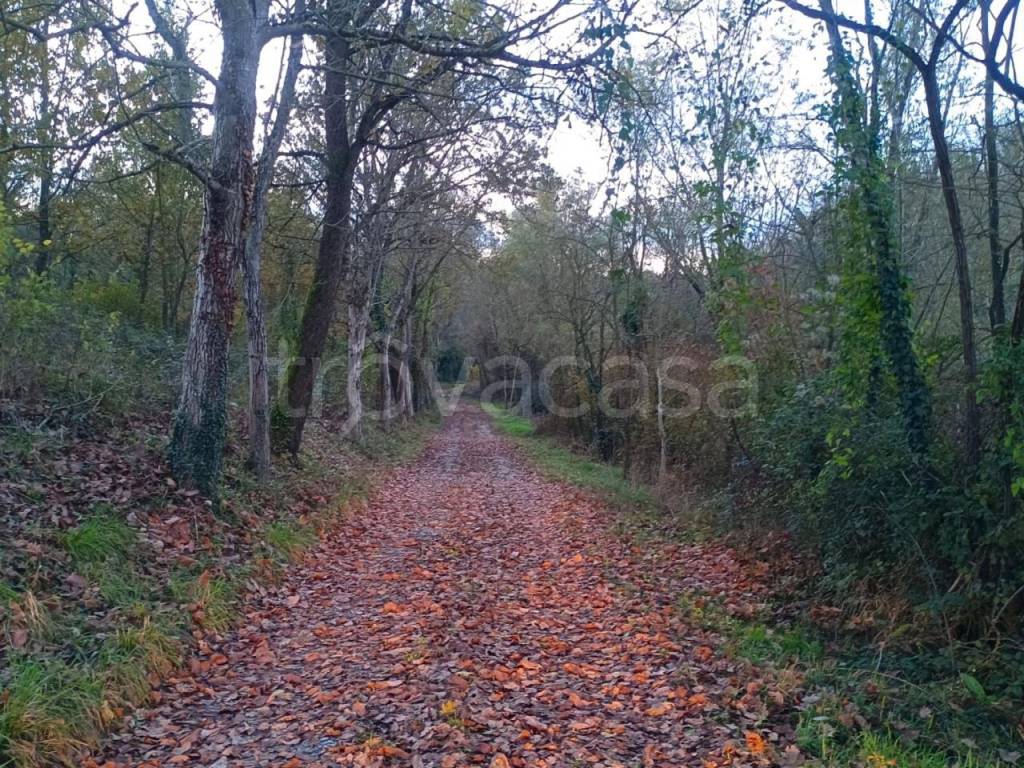 immagine annuncio 5 di 8