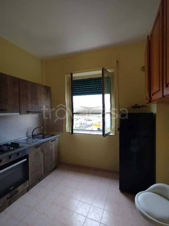 immagine annuncio 8 di 14