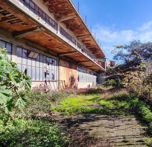 immagine annuncio 2 di 13