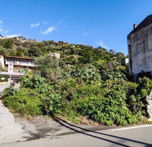 immagine annuncio 9 di 13