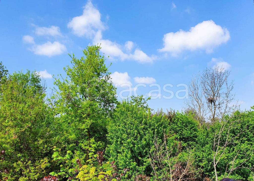 immagine annuncio 4 di 6