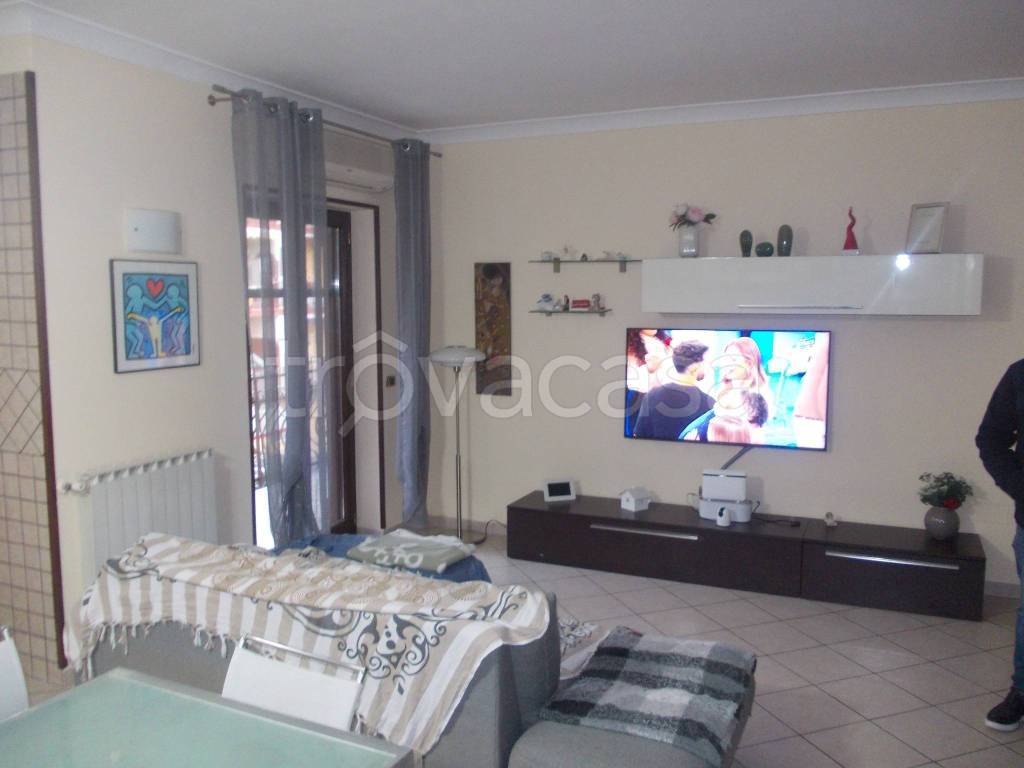 immagine annuncio 1 di 14