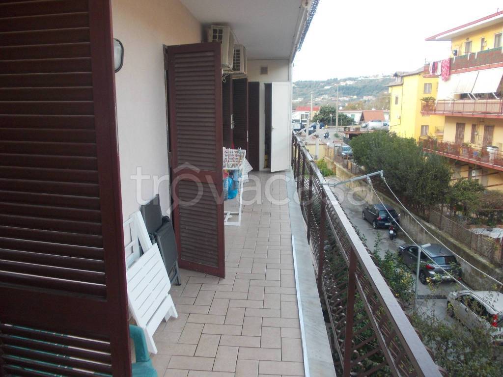 immagine annuncio 7 di 14