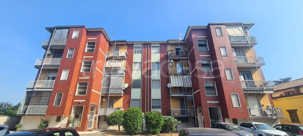 immagine annuncio 9 di 15