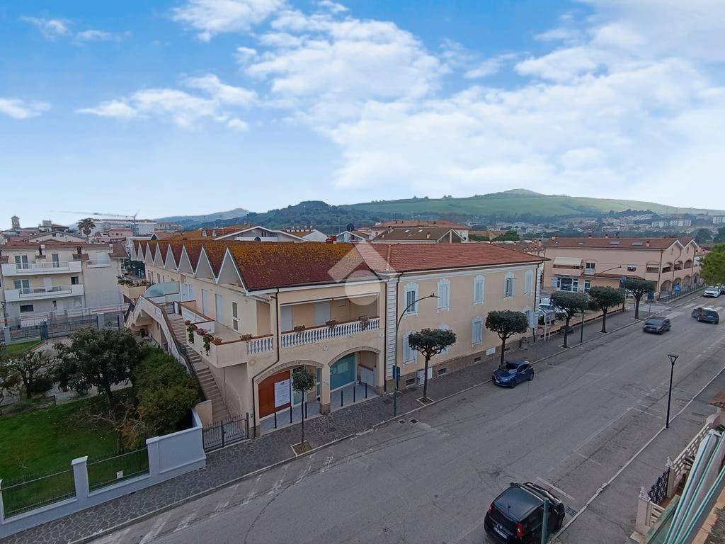 immagine annuncio 11 di 13