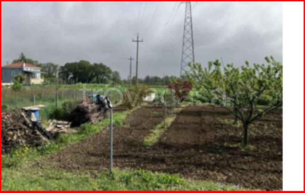 immagine annuncio 4 di 12