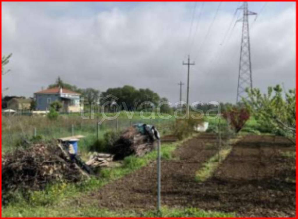 immagine annuncio 6 di 12