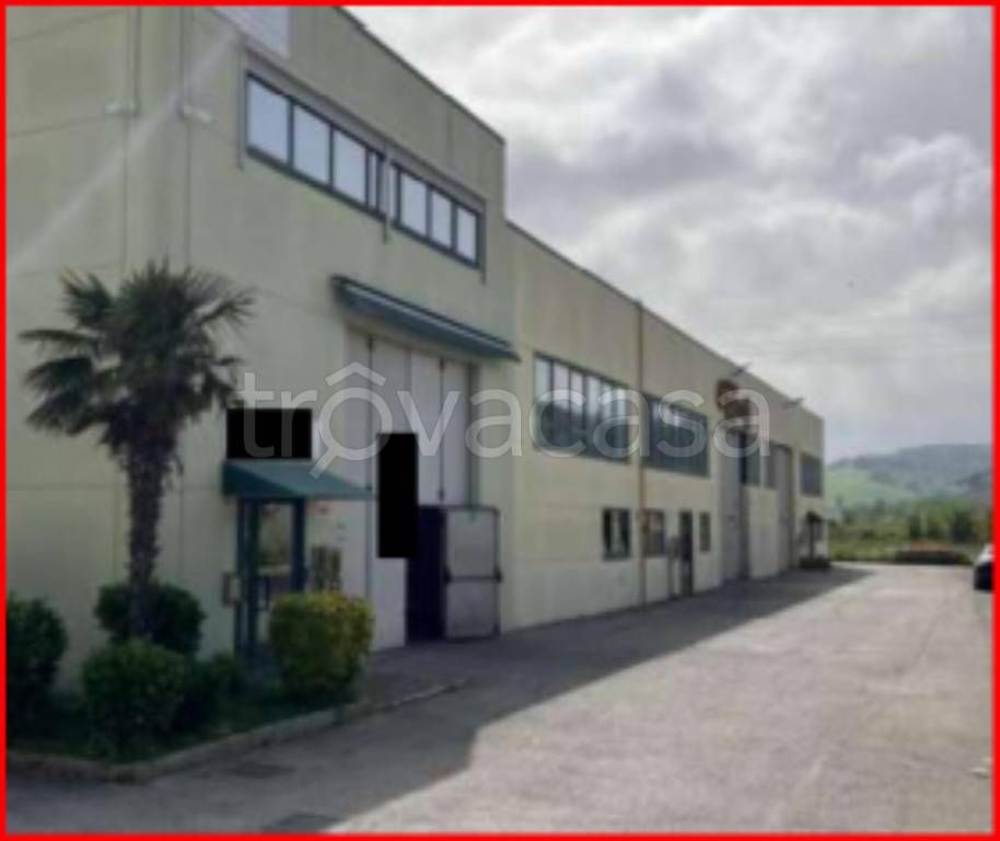 immagine annuncio 7 di 12