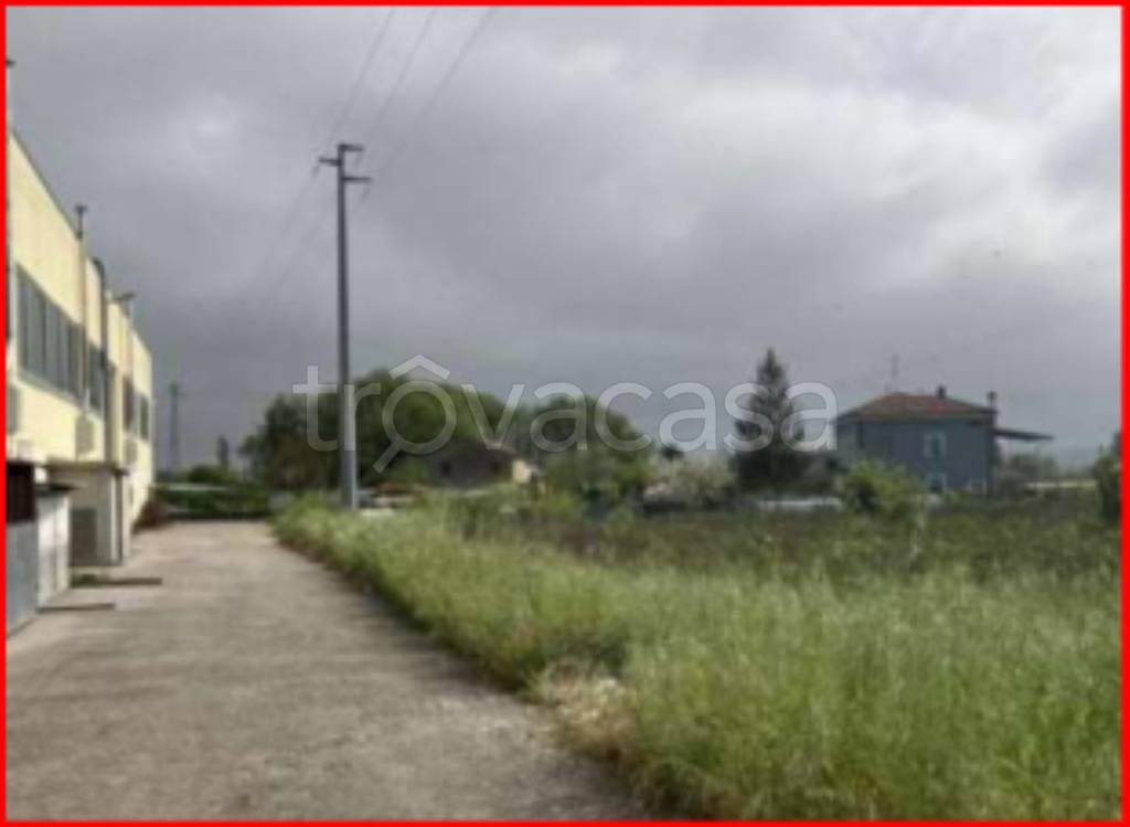 immagine annuncio 8 di 12