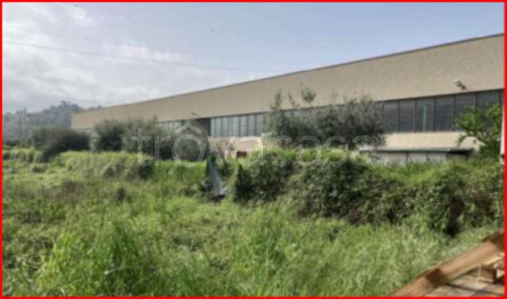 immagine annuncio 10 di 12