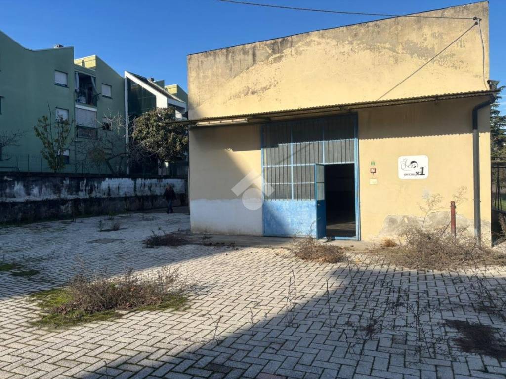 immagine annuncio 2 di 15