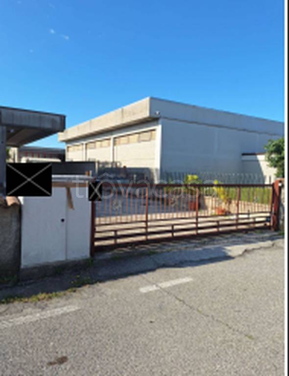 immagine annuncio 2 di 12