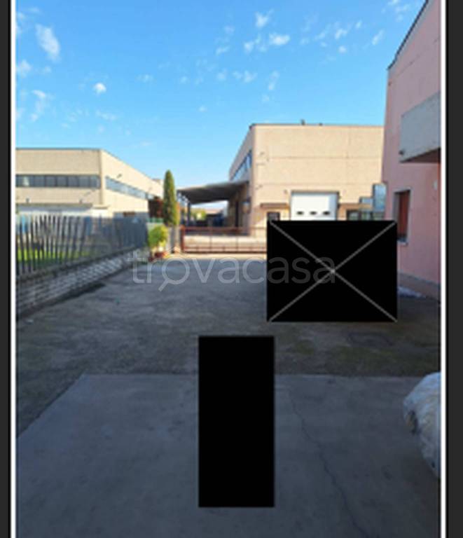 immagine annuncio 2 di 11