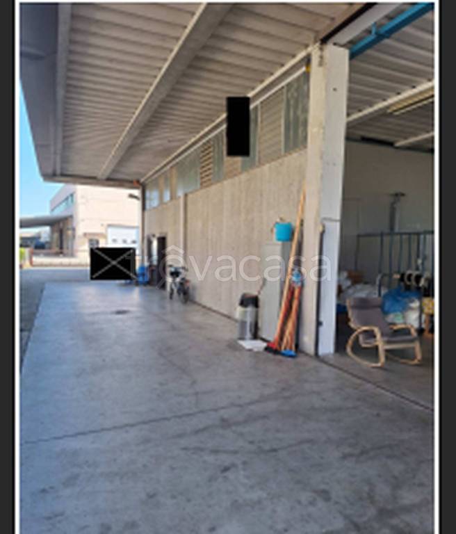 immagine annuncio 5 di 11