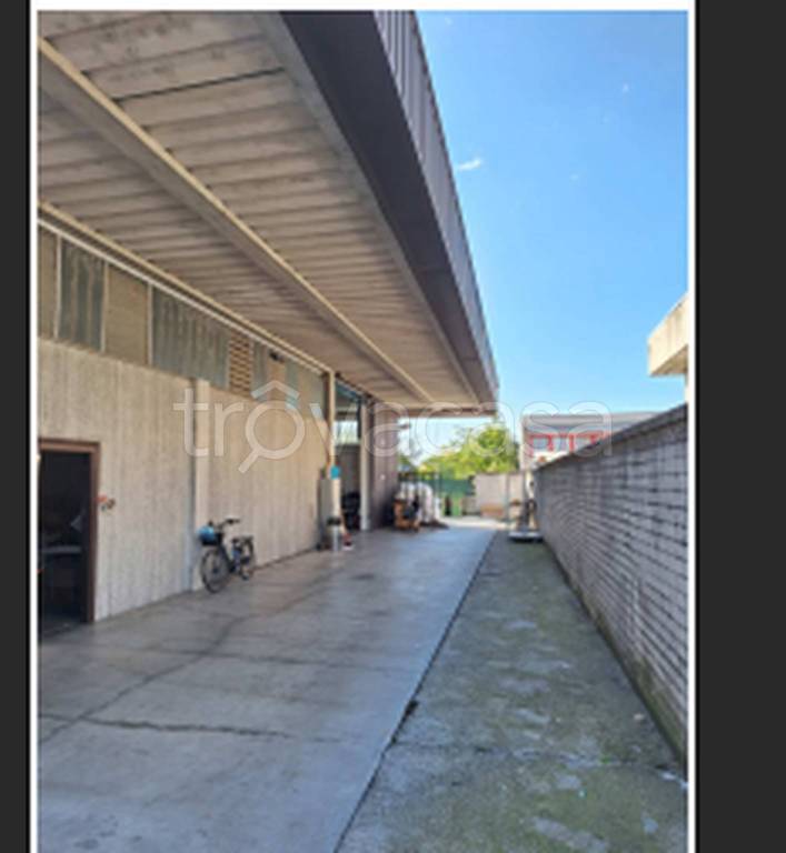 immagine annuncio 6 di 11