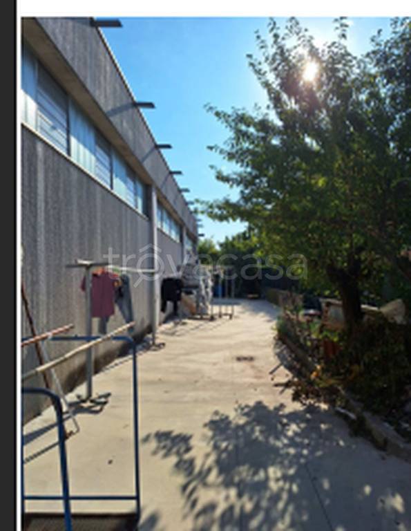 immagine annuncio 8 di 11