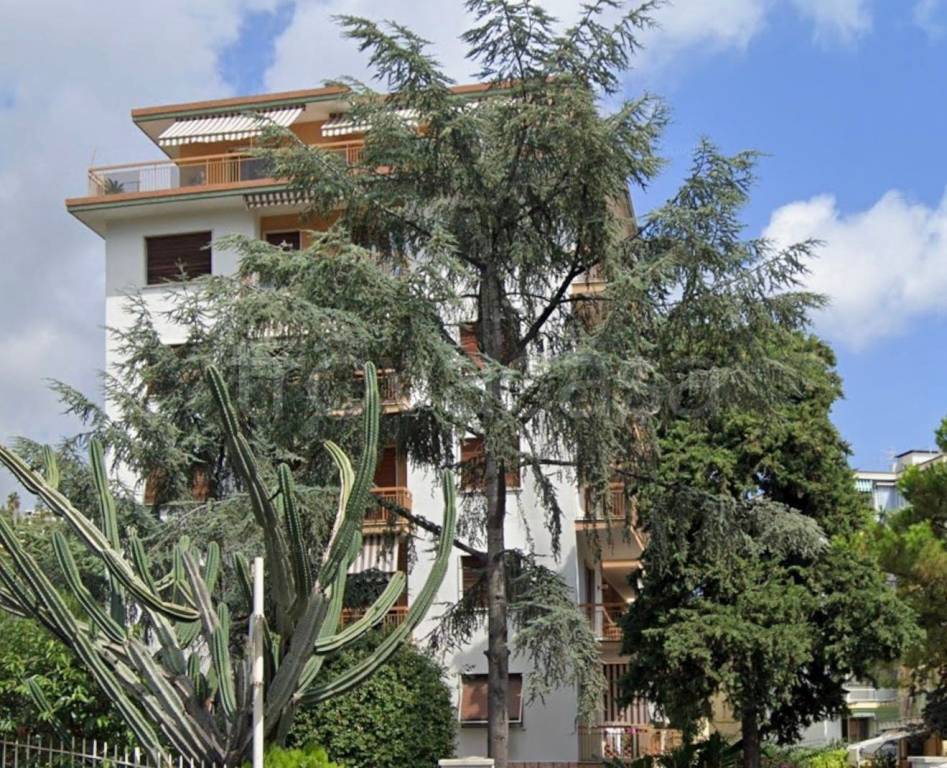 immagine annuncio 10 di 14