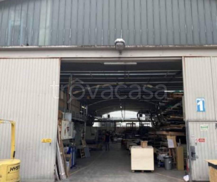 immagine annuncio 2 di 14