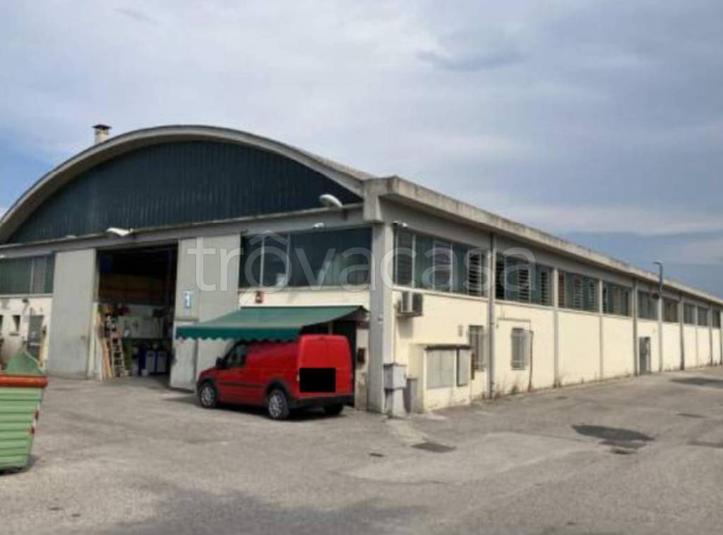 immagine annuncio 2 di 13