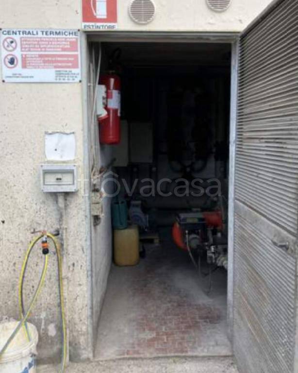 immagine annuncio 11 di 13