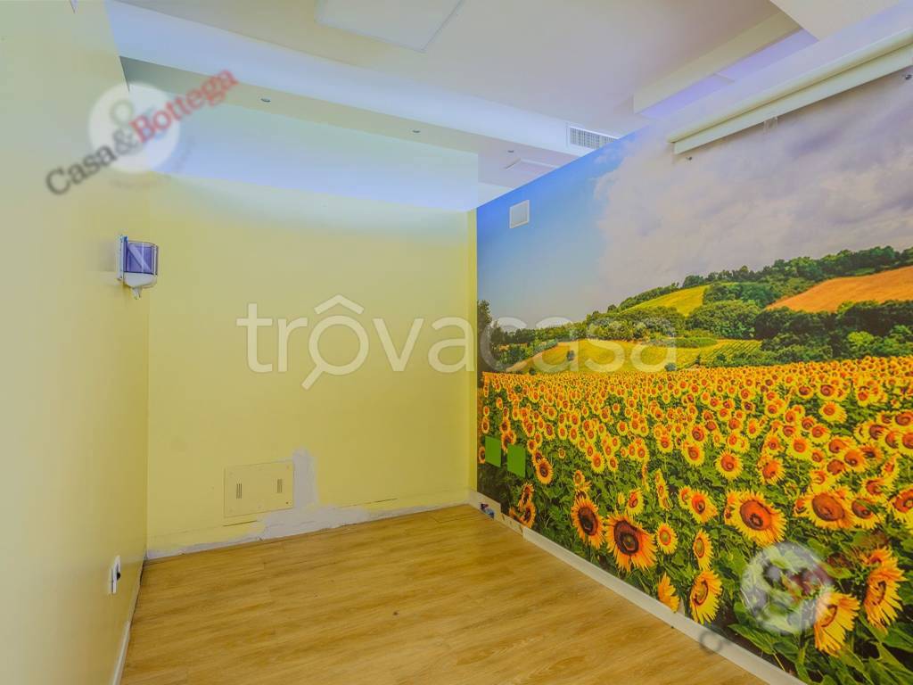 immagine annuncio 5 di 12