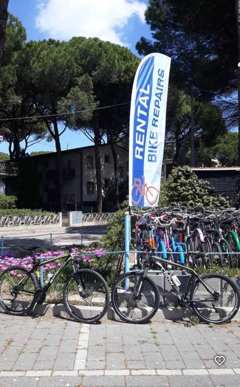 immagine annuncio 2 di 6