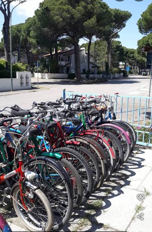 immagine annuncio 3 di 6