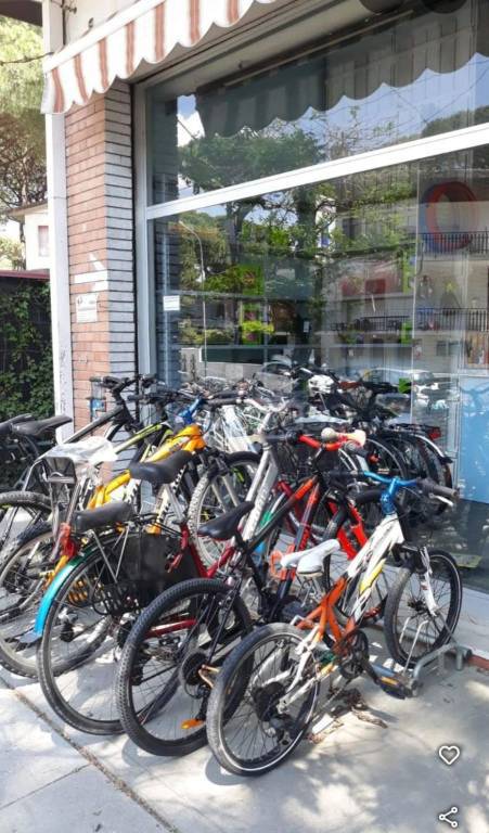 immagine annuncio 4 di 6