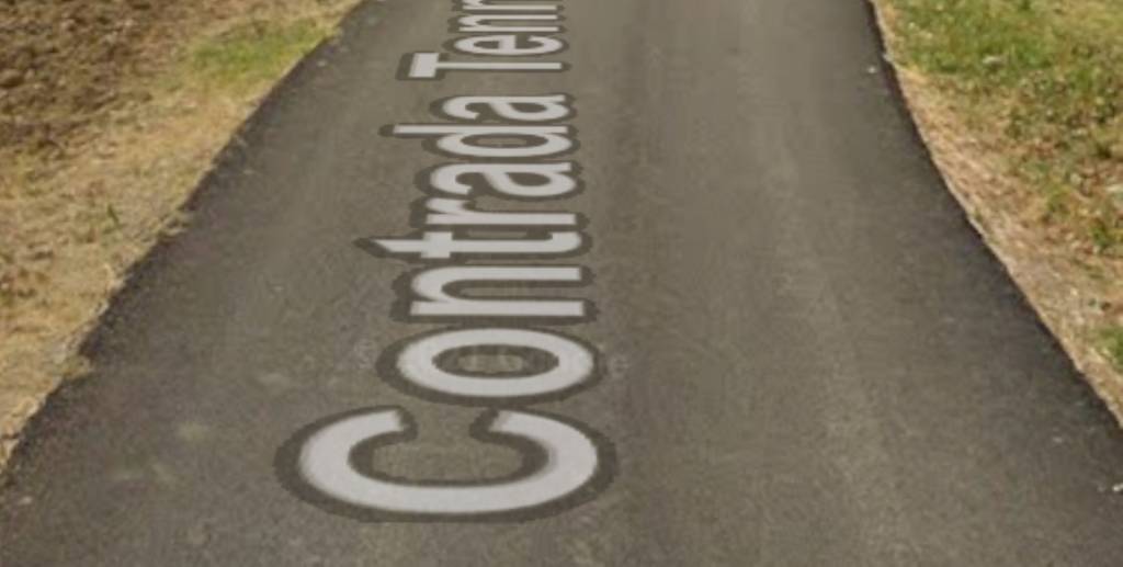 immagine annuncio 9 di 14