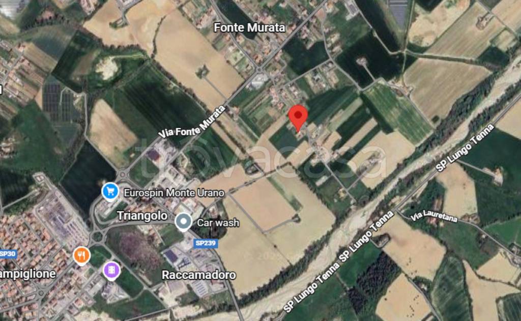 immagine annuncio 11 di 14